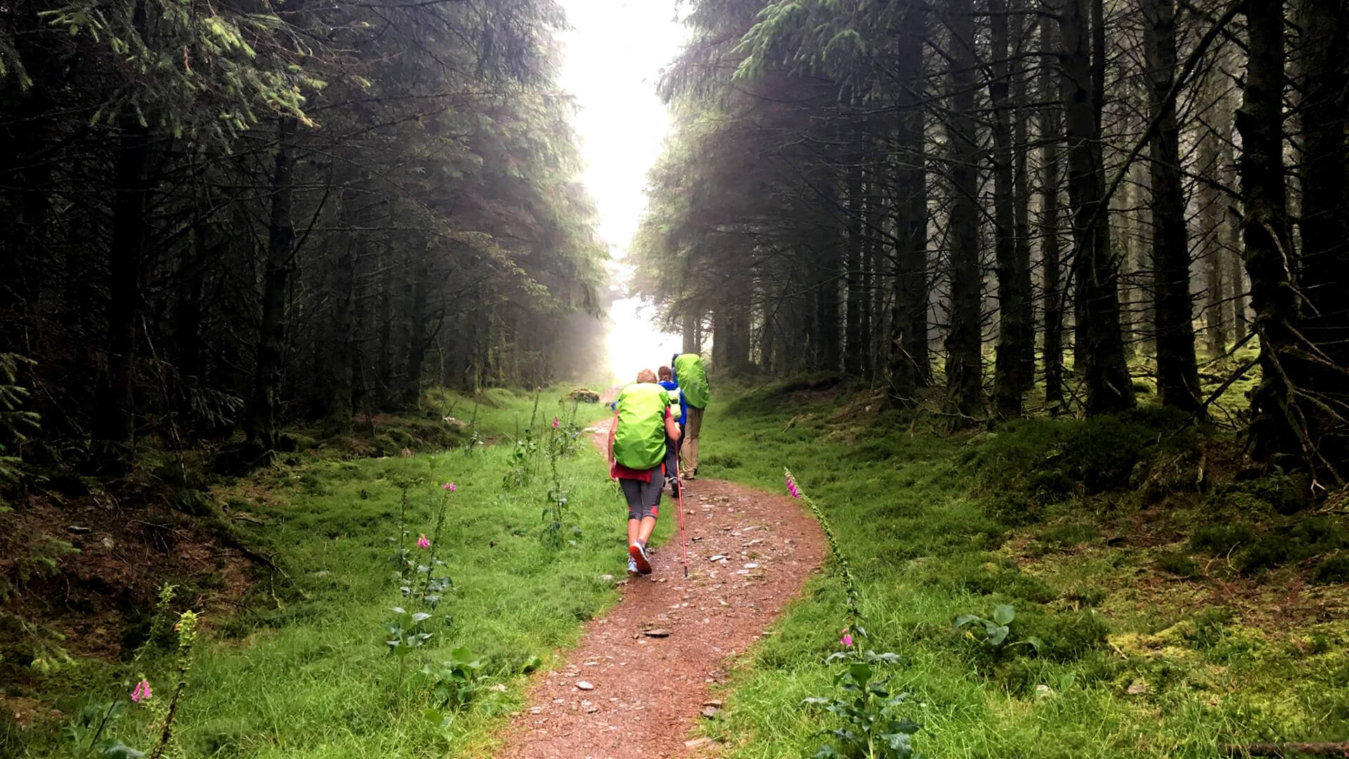 Ireland Walking Tours - Gentle Wicklow Way Hiking Tours - 4 Day Self Guided