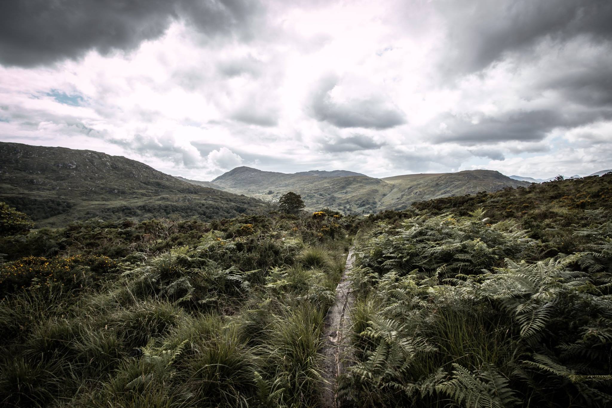 Beautiful Pictures of Ireland From Hikers (Part 1) - Hillwalk Tours ...