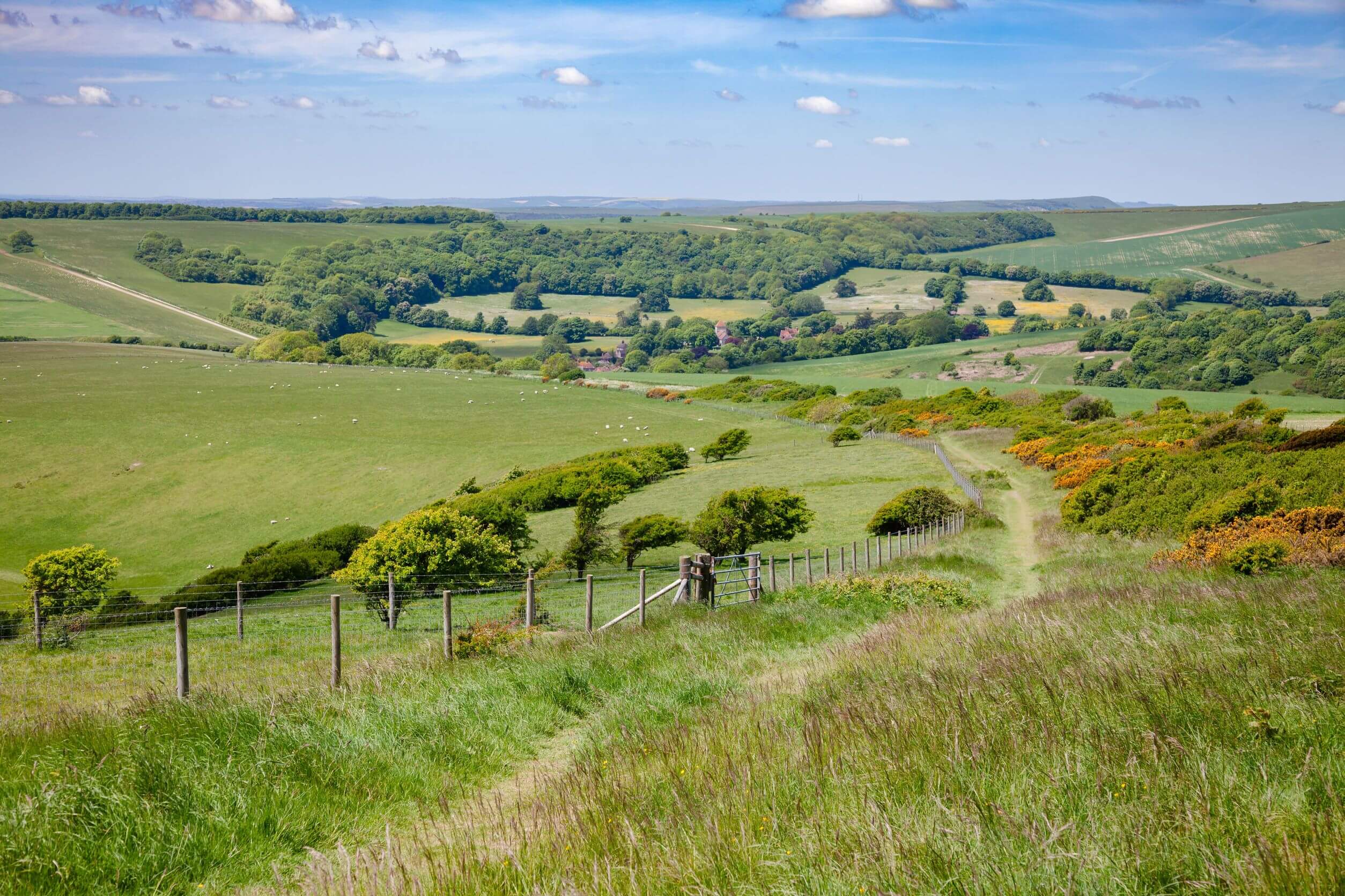 Typische Grass-Landschaft der South Downs entlang des South Downs Way