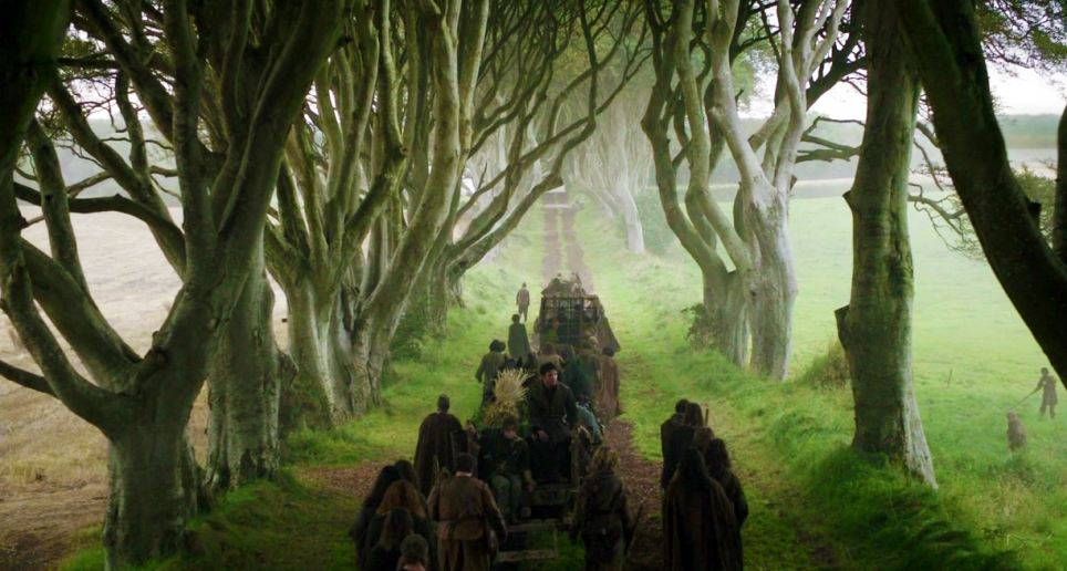 'The Kingsroad' AKA The Dark Hedges