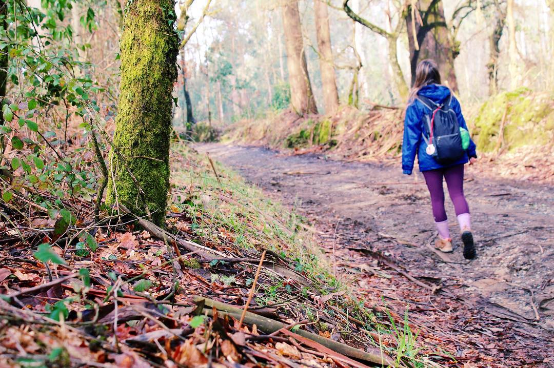 Walker on the Camino Frances