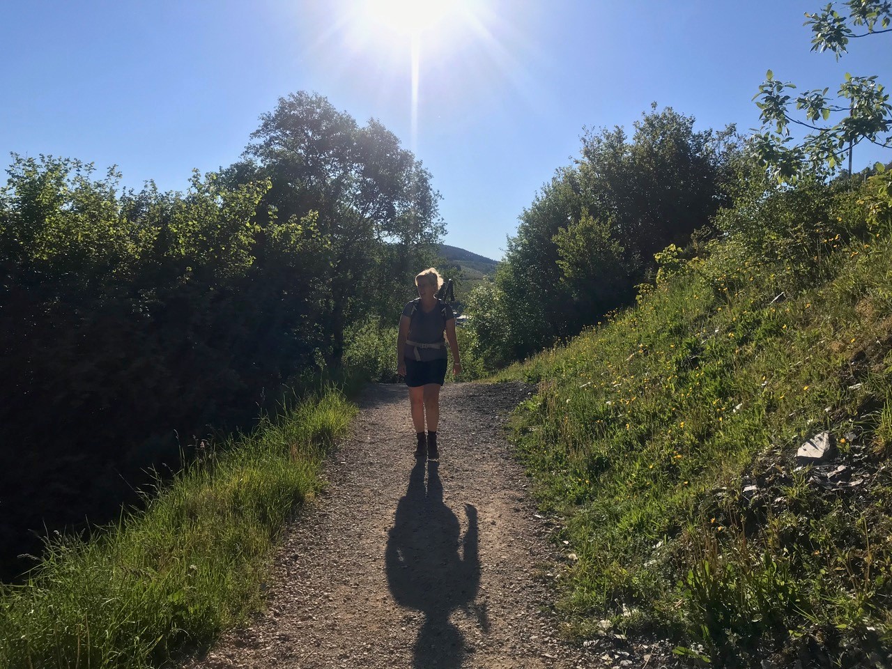 Solo Walker on The Camino Frances