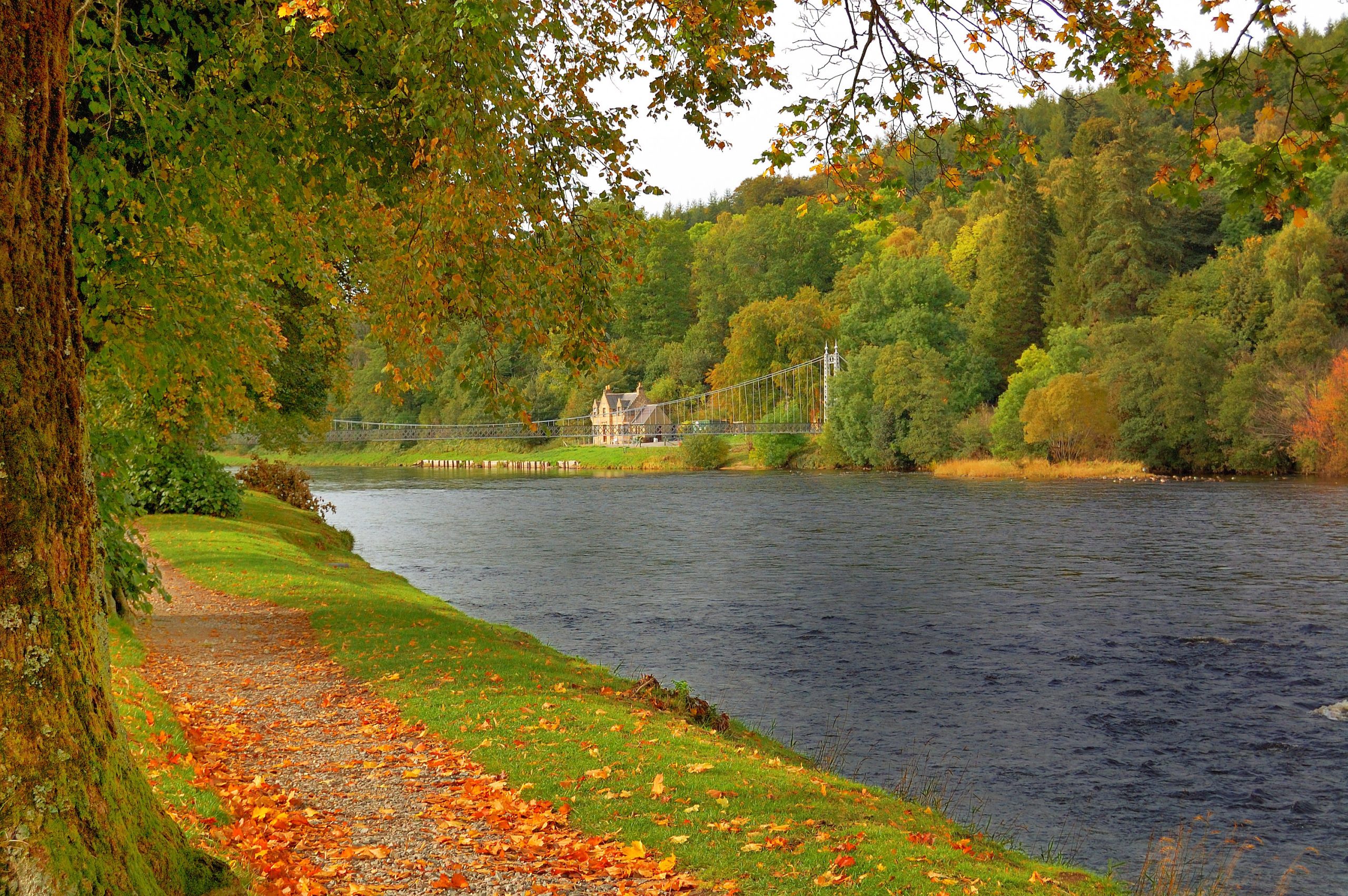 The River Spey