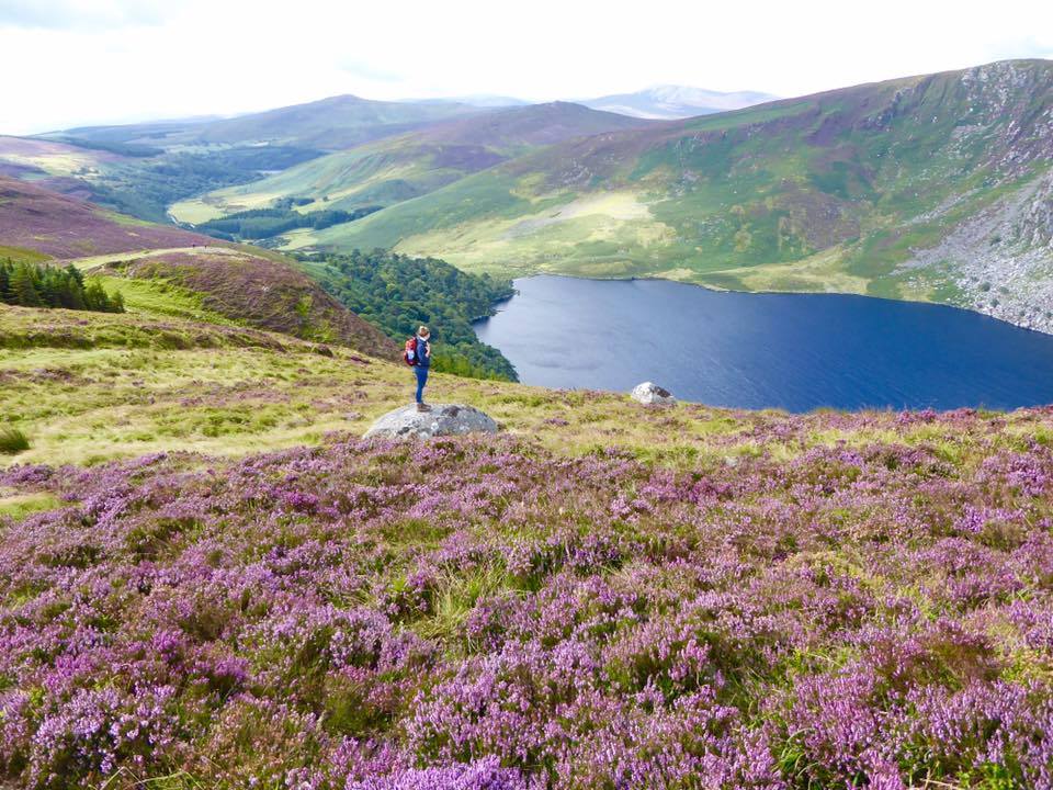 wk wicklow walker above lough tay 1 1