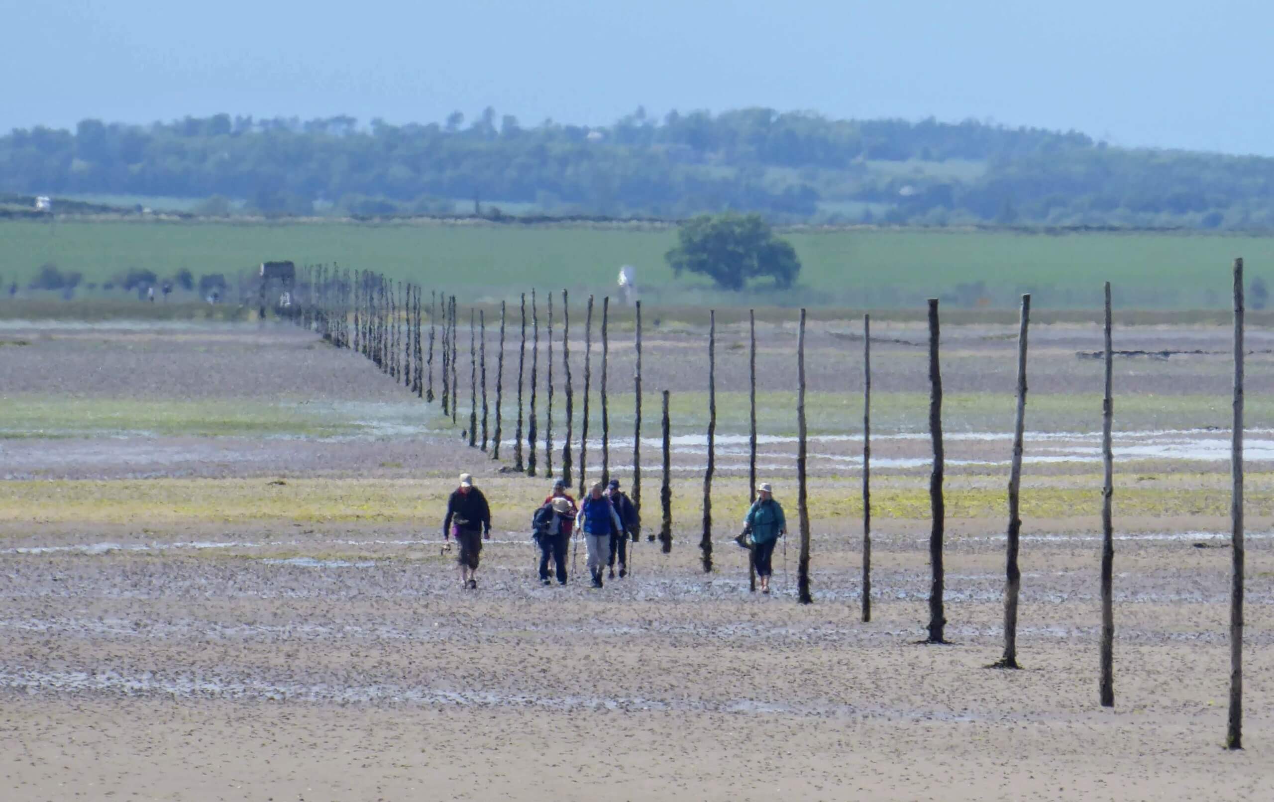 St Cuthbert's Way, the famed pilgrimage route with a tidal causeway to Holy Island and Lindisfarne.