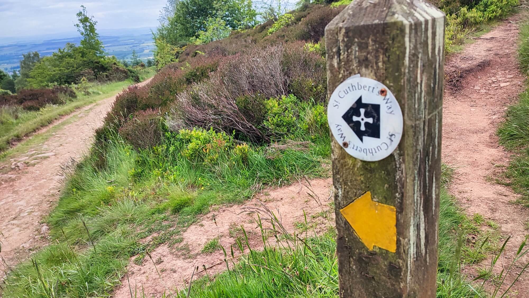 St Cuthbert's Way - Way marker on path