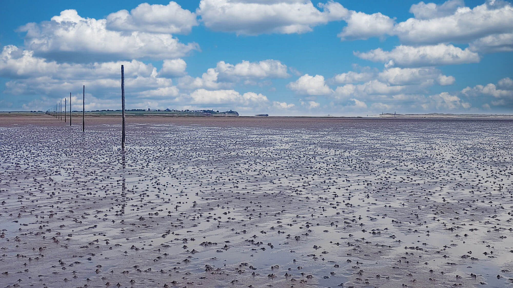 St Cuthbert's Way - Tidal path