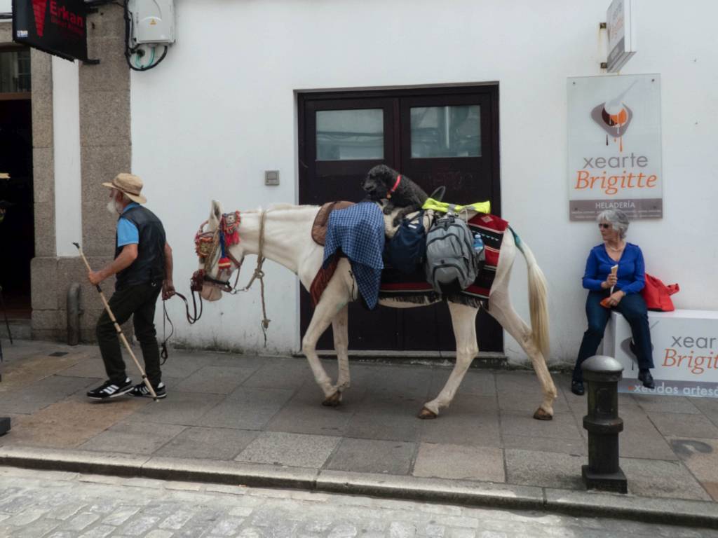 The Symbolism of the Scallop Shell on the Camino - Hillwalk Tours